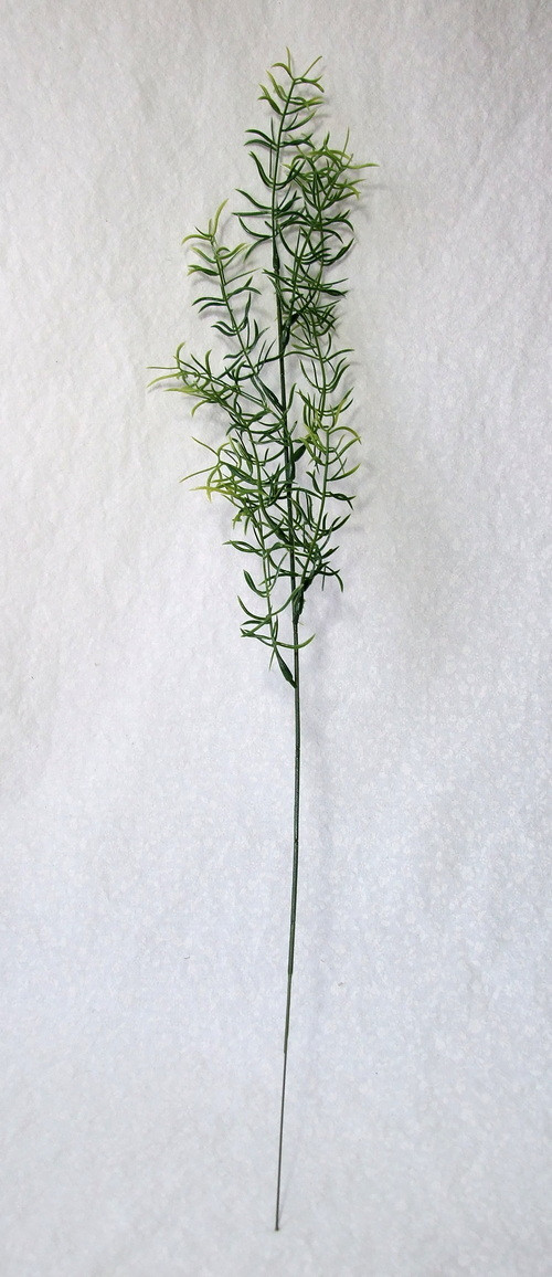 Asparagus retro 60 cm — foto 2