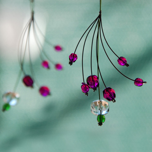 Fialenky fuchsijky — foto 3