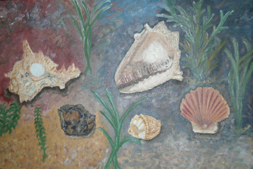 Dary moře — foto 3