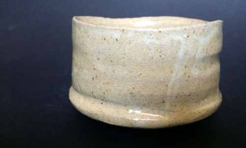 Sukulentník — foto 2