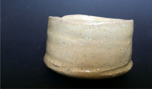 Sukulentník — foto 3