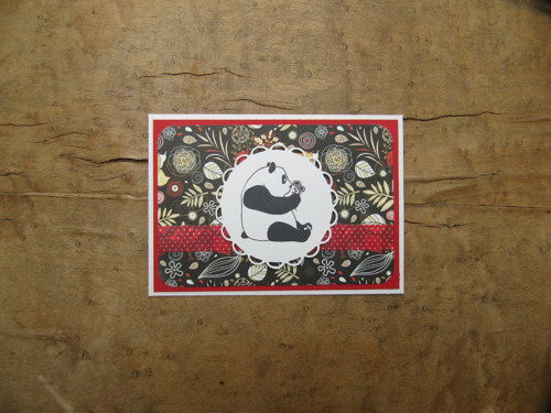 Přání medvídek panda — foto 3