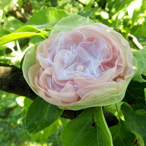 Jabloňová — foto 3