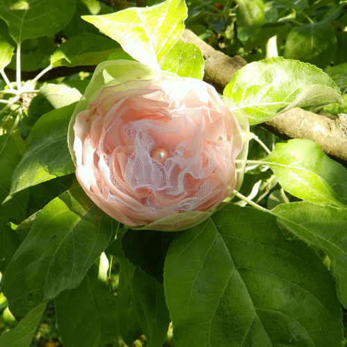 Jabloňová — foto 2