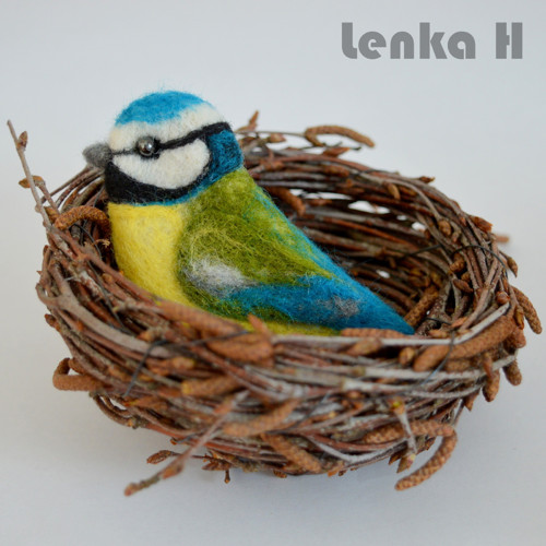 Hnízdečko — foto 2