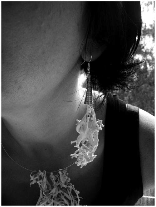 Retour aux sources — foto 2