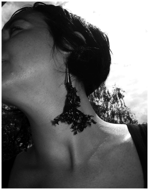 Retour aux sources — foto 2