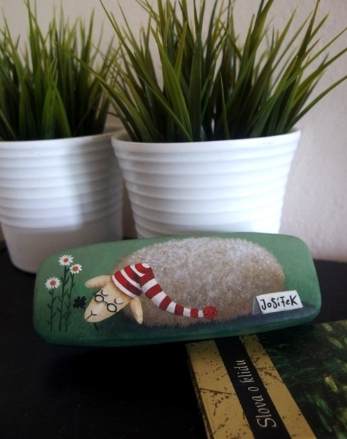 Futrál na druhé oči — foto 3