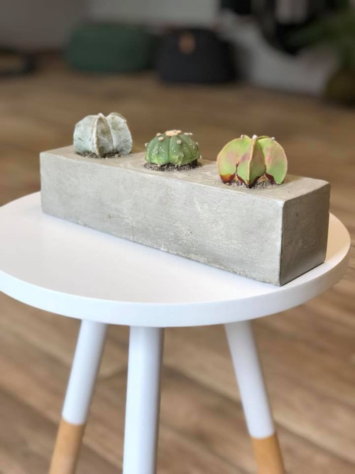 Betonky — foto 3