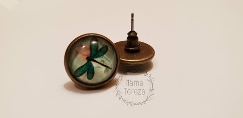 Vážka — foto 3