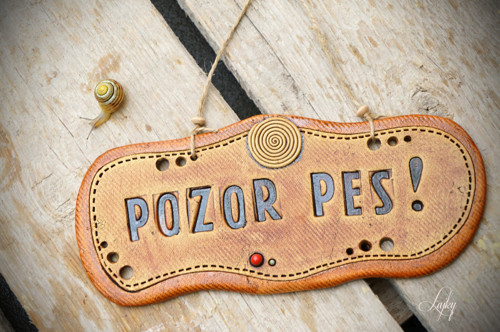 Pozor pes — foto 2