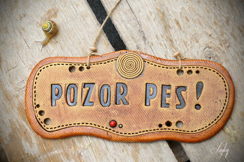 Pozor pes — foto 3