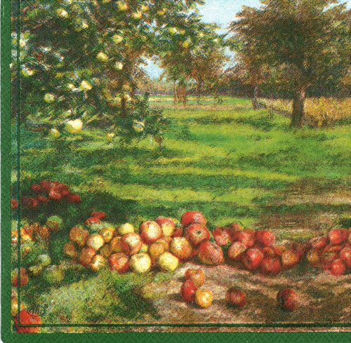 Ubrousek - jablečný sad — foto 2