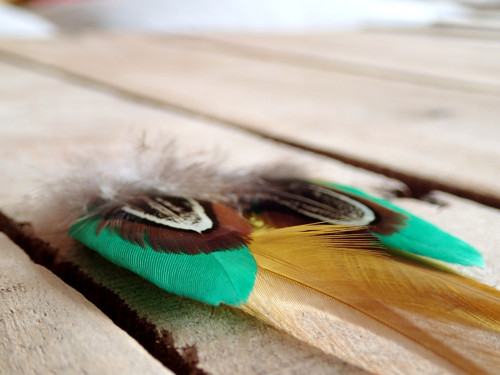 Earthy — foto 5