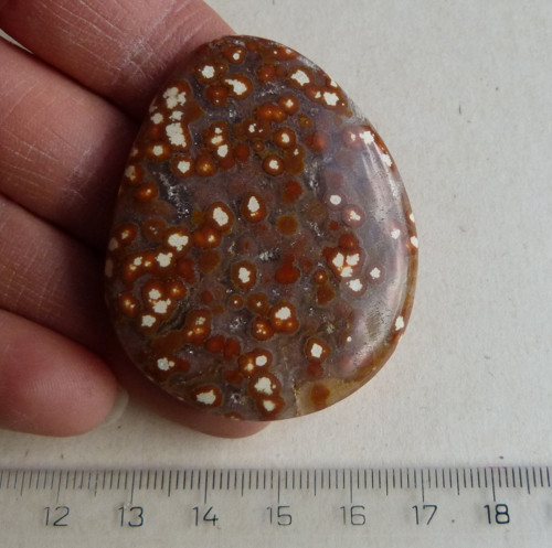 Jaspis Ocean - 5,1 cm Extra — foto 2