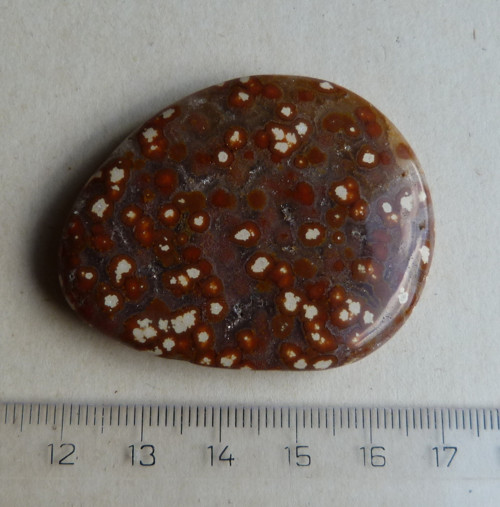 Jaspis Ocean - 5,1 cm Extra — foto 4