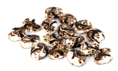 Bílá Hnědá Černá Grace Lampwork Korálky, Pár, — foto 3