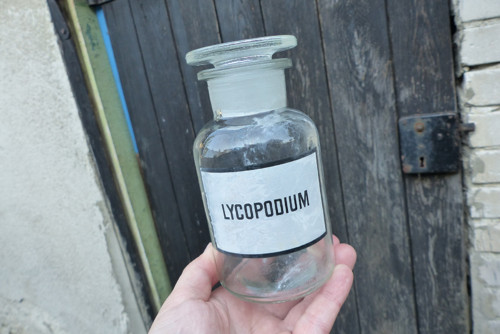 Lycopodium...lékárenská lahev — foto 3