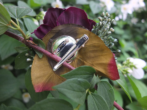 Královská noblesa — foto 6