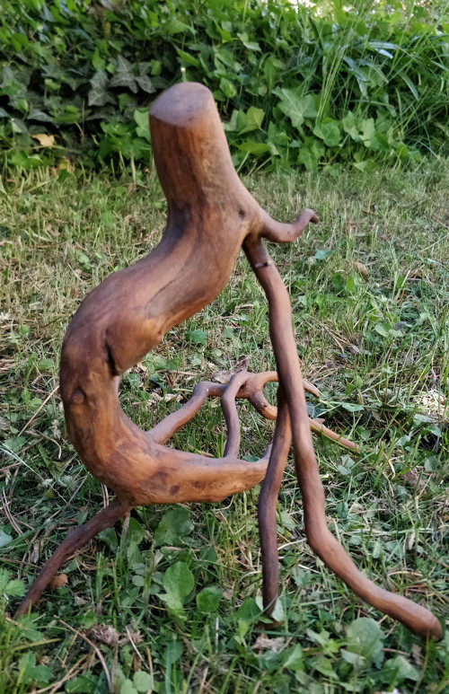 Samorost - kořeny — foto 2