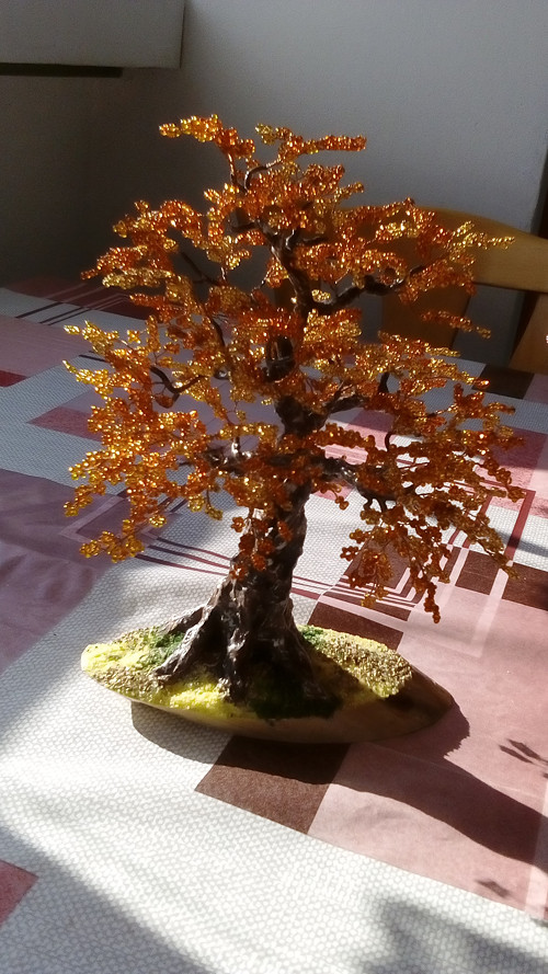 Bronzovo zlatý podzim — foto 5