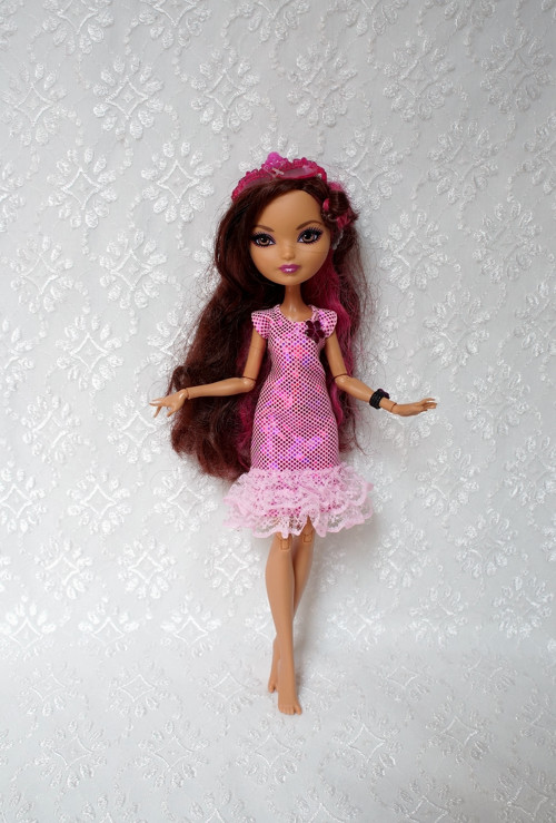 Šaty pro MH / Ever After High — foto 2