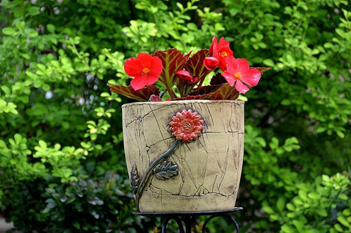 Obal -gerbera-VEL.4- ihned — foto 3