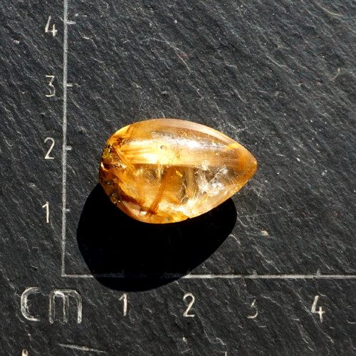 Kapka sagenitu — foto 2
