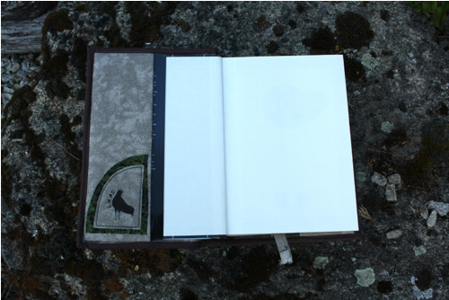 Sassenach — foto 3