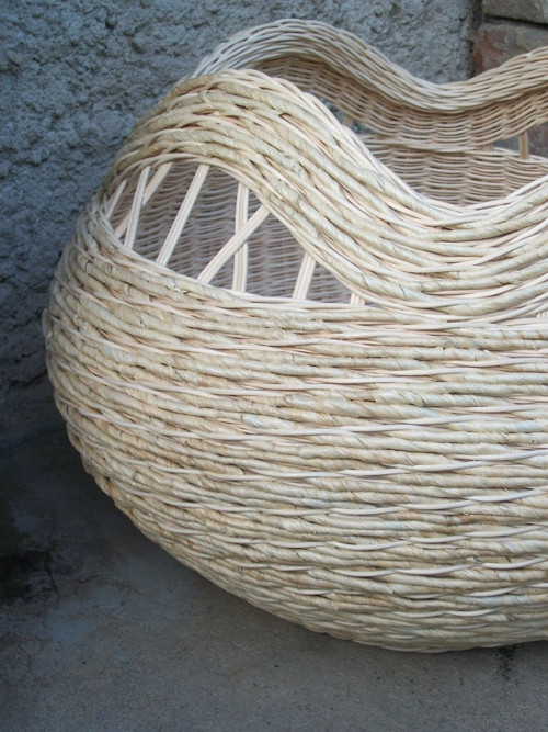 Čťyřučák nebo dvouušák — foto 4