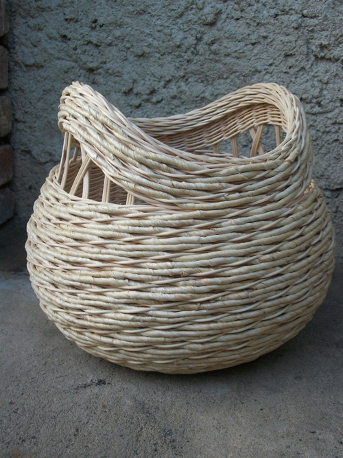 Dvouušák nebo čťyřučák — foto 2