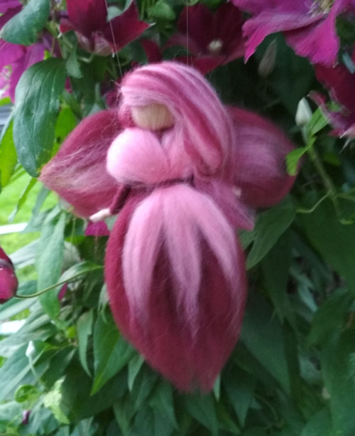 Elfinka Vášnivka — foto 2