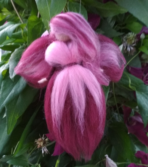 Elfinka Vášnivka — foto 3
