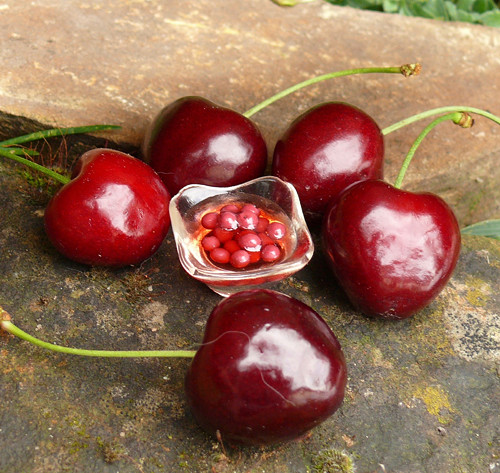 Třešňový kompot - Cherry compote — foto 2