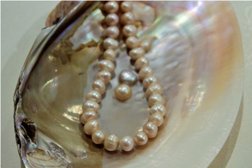 Pearls — foto 2