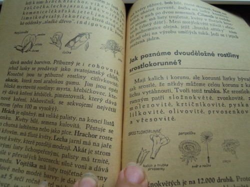 Hostáňovy přehledné příručky...ROSTLINOPIS 1946 — foto 3