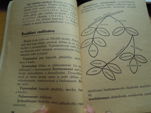 Hostáňovy přehledné příručky...ROSTLINOPIS 1946 — foto 4