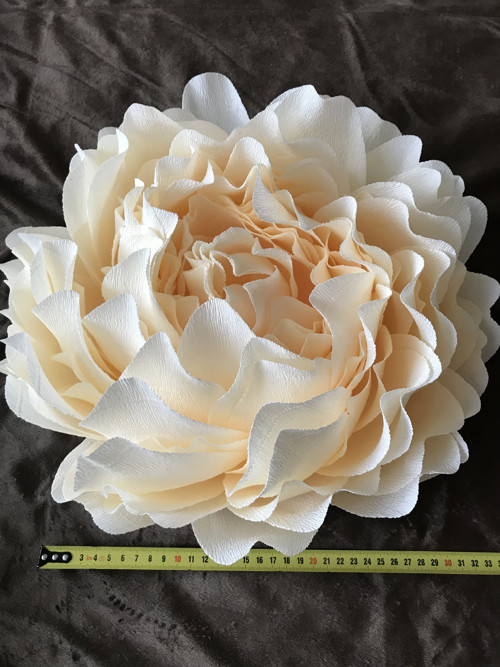 Pivoňka 30 cm — foto 3