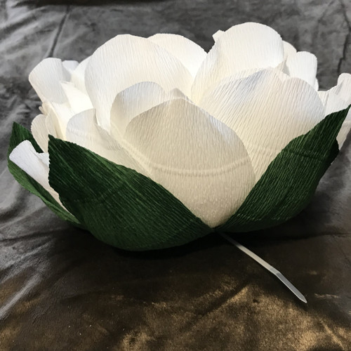 Pivoňka 20 cm — foto 2