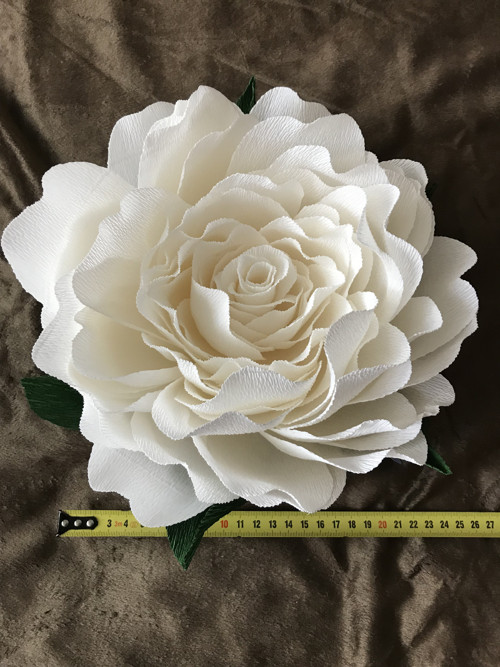 Pivoňka 20 cm — foto 4