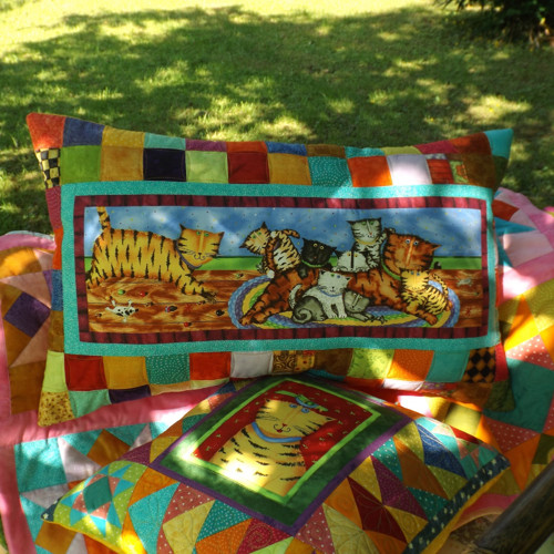 Kočkování - polštář - rezervace — foto 2