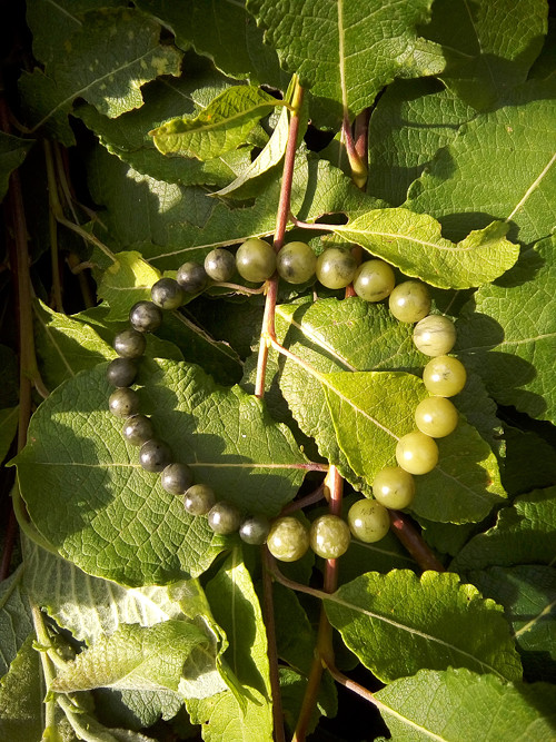 Náramek z nefritu jade — foto 2