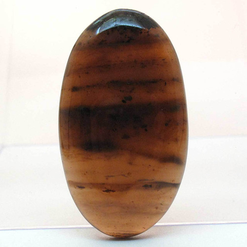 Kabošon medový dendritický achát ovál 43mm — foto 3