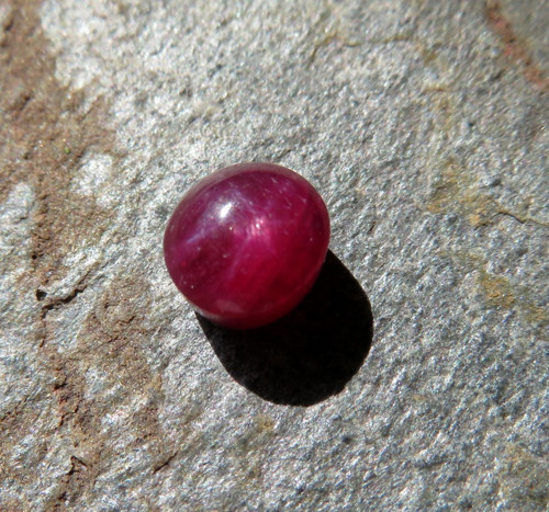 Asterický Rubín č.R2 — foto 2