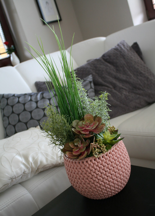 Pletený obal se sukulenty — foto 3