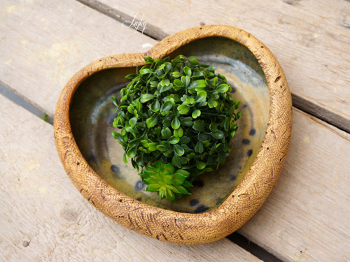 Green love — foto 3