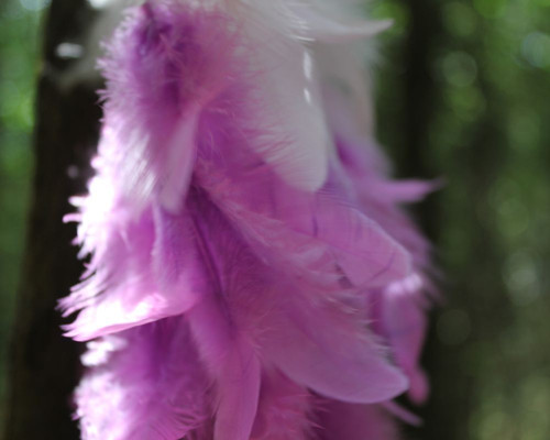 V levandulích.. ~ Lapač snů — foto 3