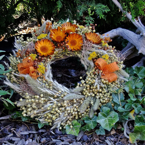 Věneček celoroční - 5x oranžová protea — foto 2