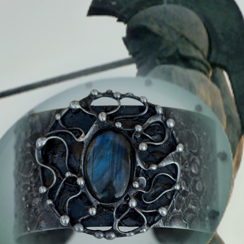 Aegis sada — foto 3
