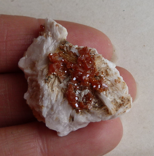 Vanadinit, baryt - 3,6 cm — foto 2